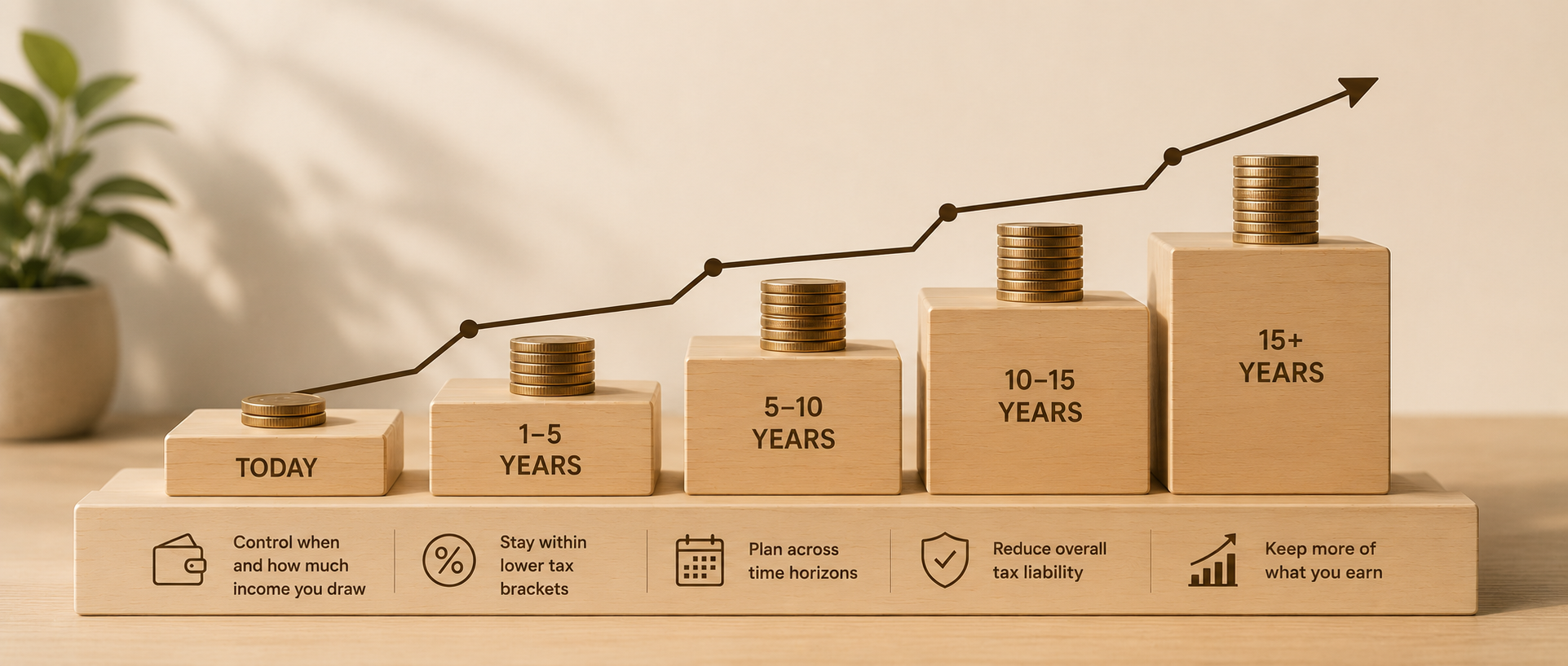 Income planning
